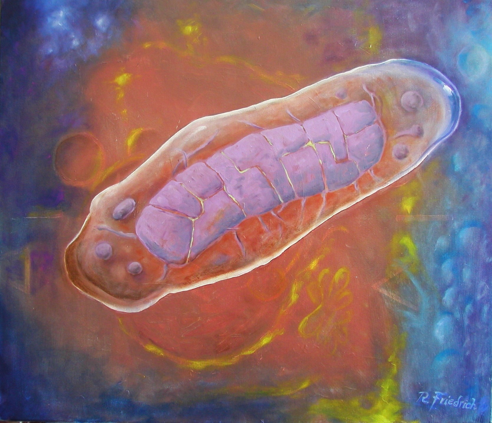 Mitochondrium