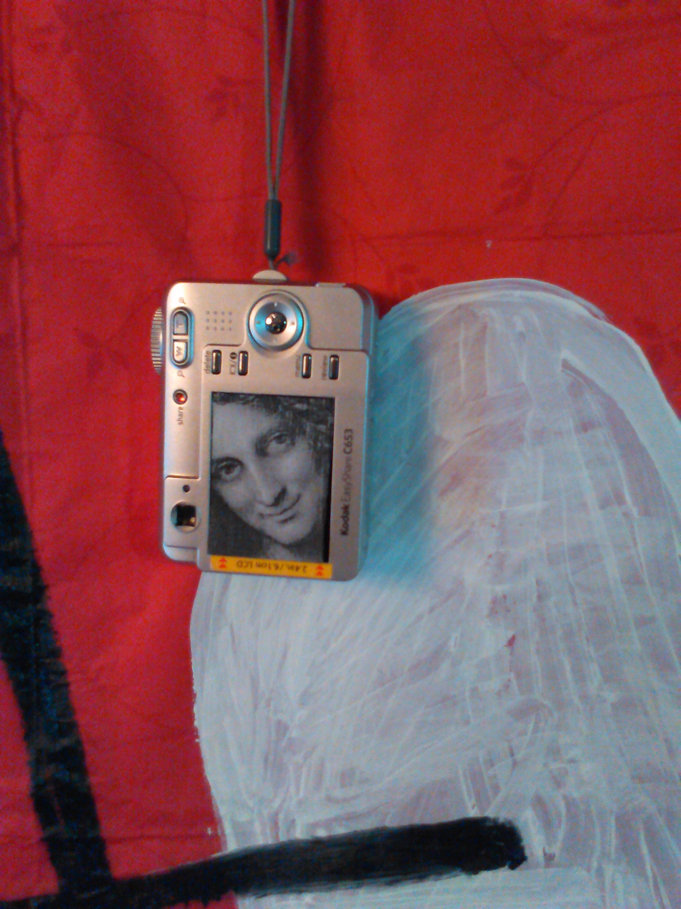 Gadget for Leonardo da Vinci — Natalia Druzhinkina