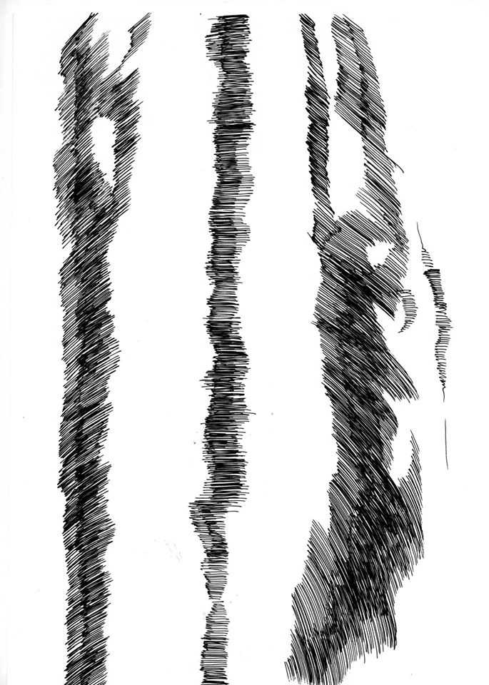 Drawing & collage — study 8 — Natalia Druzhinkina